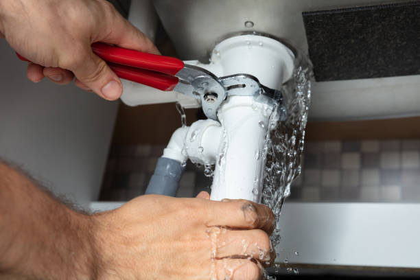 Best Carpet water damage restoration  in Belmond, IA