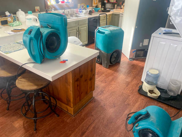 Best Sewage cleanup and water damage restoration  in Belmond, IA