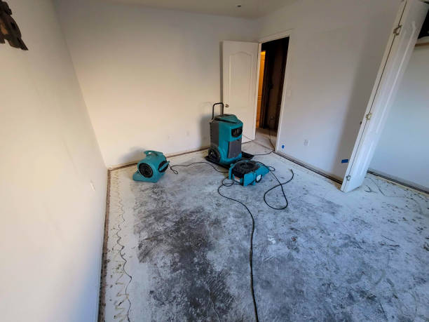 Best Sewage cleanup and water damage restoration  in Belmond, IA