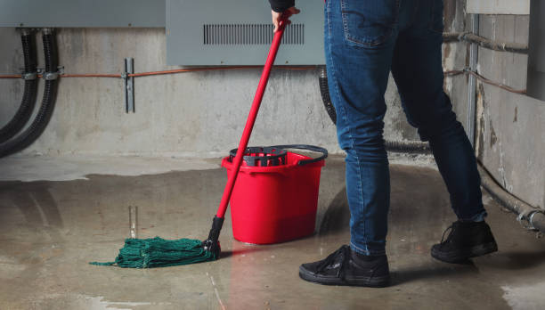 Best Residential water damage restoration  in Belmond, IA
