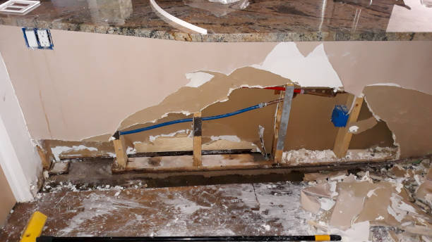 Best Mold removal after water damage  in Belmond, IA