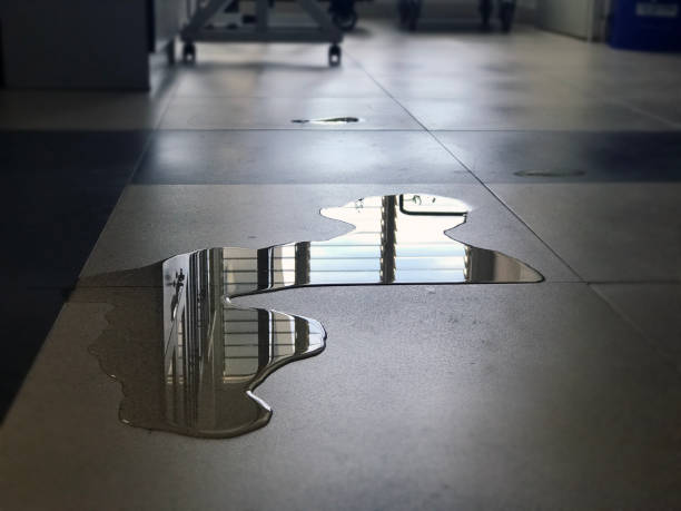 Best Water damage restoration company  in Belmond, IA