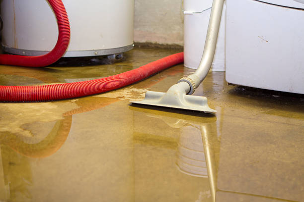 Best 24-hour water damage restoration  in Belmond, IA