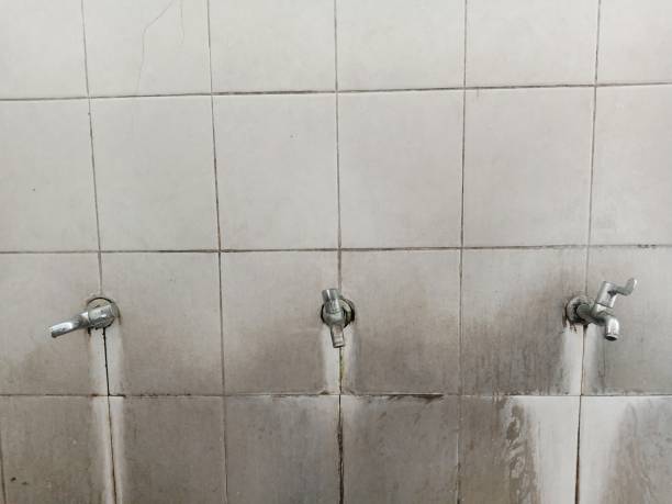 Best Water damage repair service  in Belmond, IA