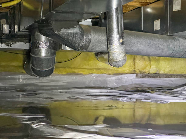 Best 24/7 water damage repair  in Belmond, IA