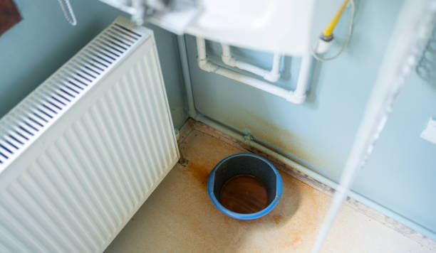 Best Mold removal after water damage  in Belmond, IA