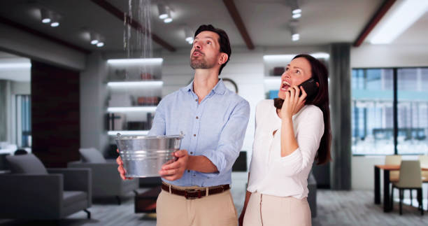 Best Residential water damage restoration  in Belmond, IA
